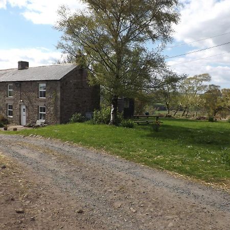 Hillis Close Farm Cottage Haltwhistle Ngoại thất bức ảnh