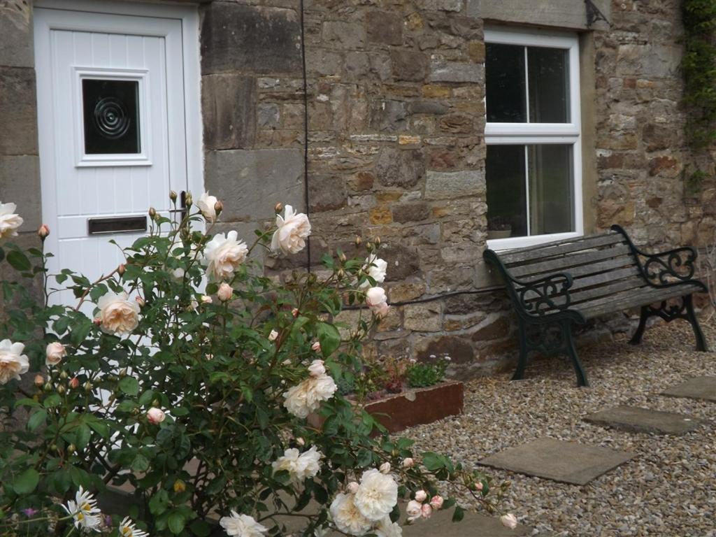 Hillis Close Farm Cottage Haltwhistle Ngoại thất bức ảnh