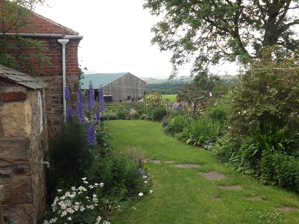 Hillis Close Farm Cottage Haltwhistle Ngoại thất bức ảnh