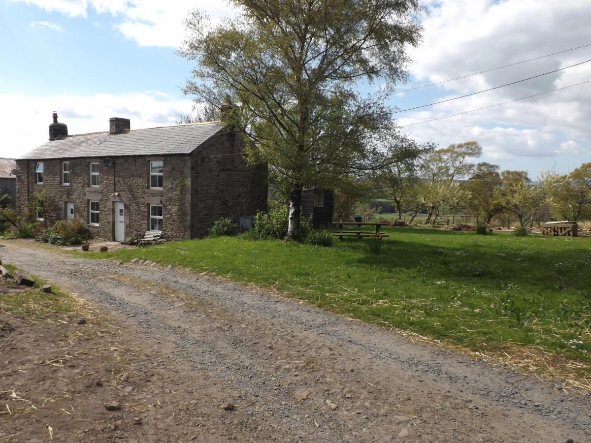 Hillis Close Farm Cottage Haltwhistle Ngoại thất bức ảnh