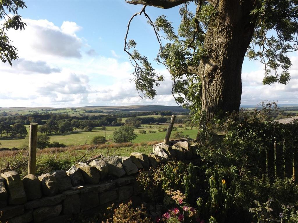 Hillis Close Farm Cottage Haltwhistle Ngoại thất bức ảnh