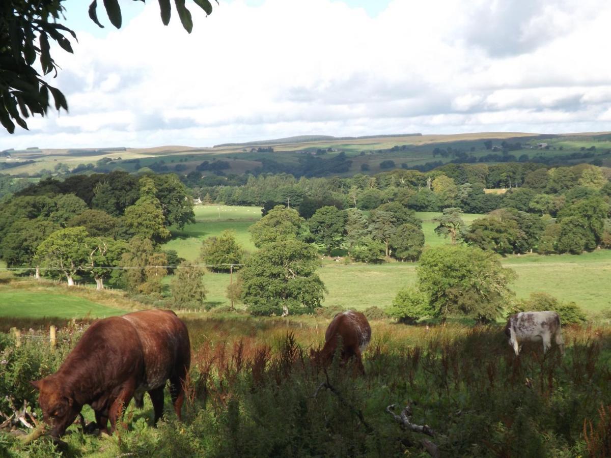 Hillis Close Farm Cottage Haltwhistle Ngoại thất bức ảnh
